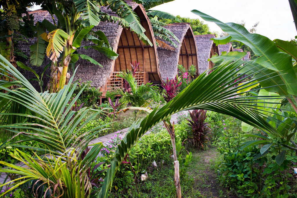 Chew & Lush - Sustainable Travel Must Do's Accommodations