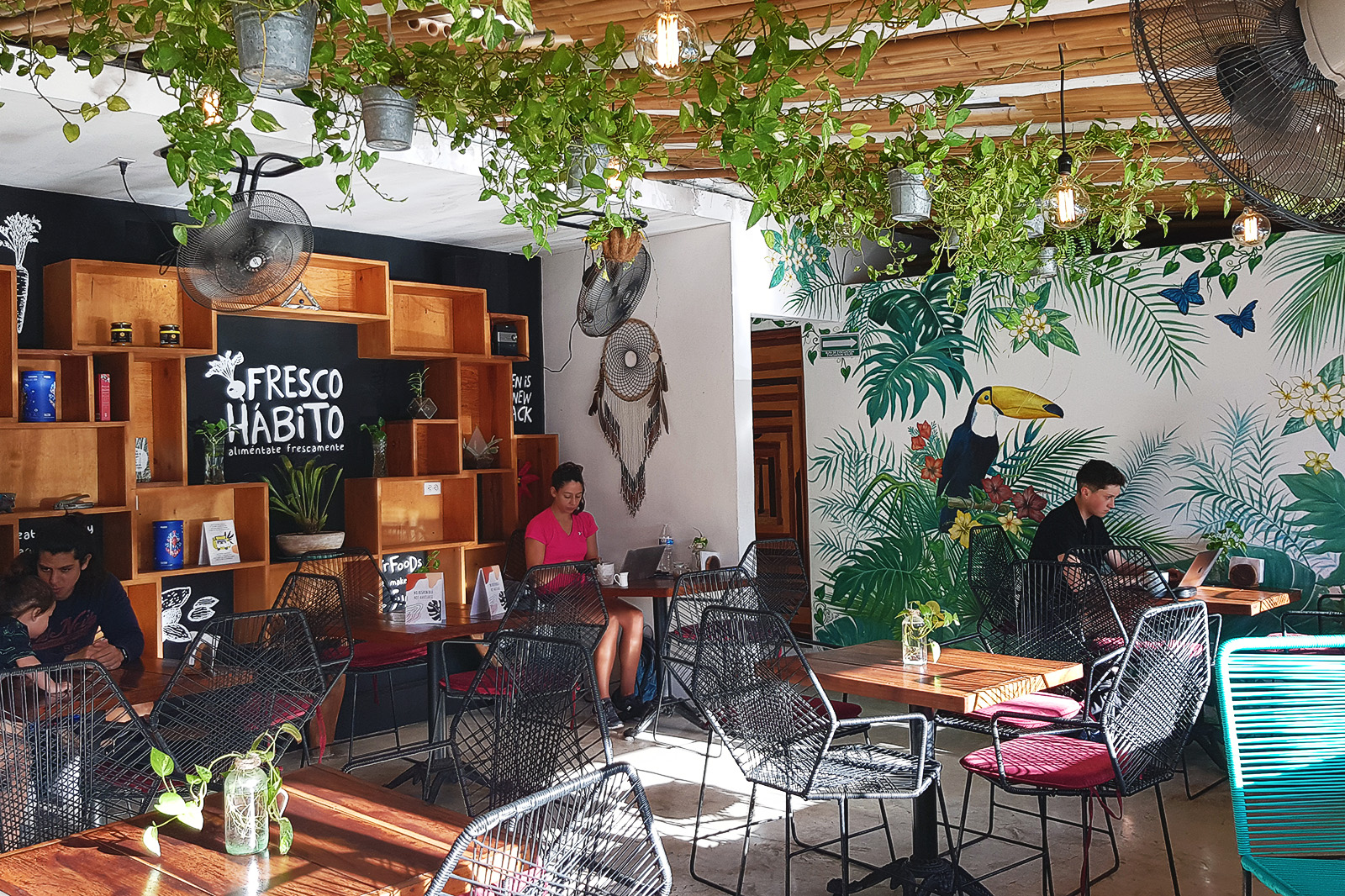 Best Cafes for Strong WiFi & Yummy 'Healthy' Eats in Playa del Carmen featuring Fresco Habito