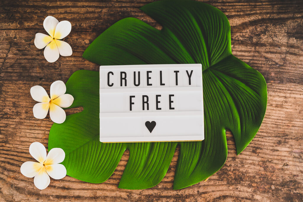 Cruelty Free | Chew & Lush